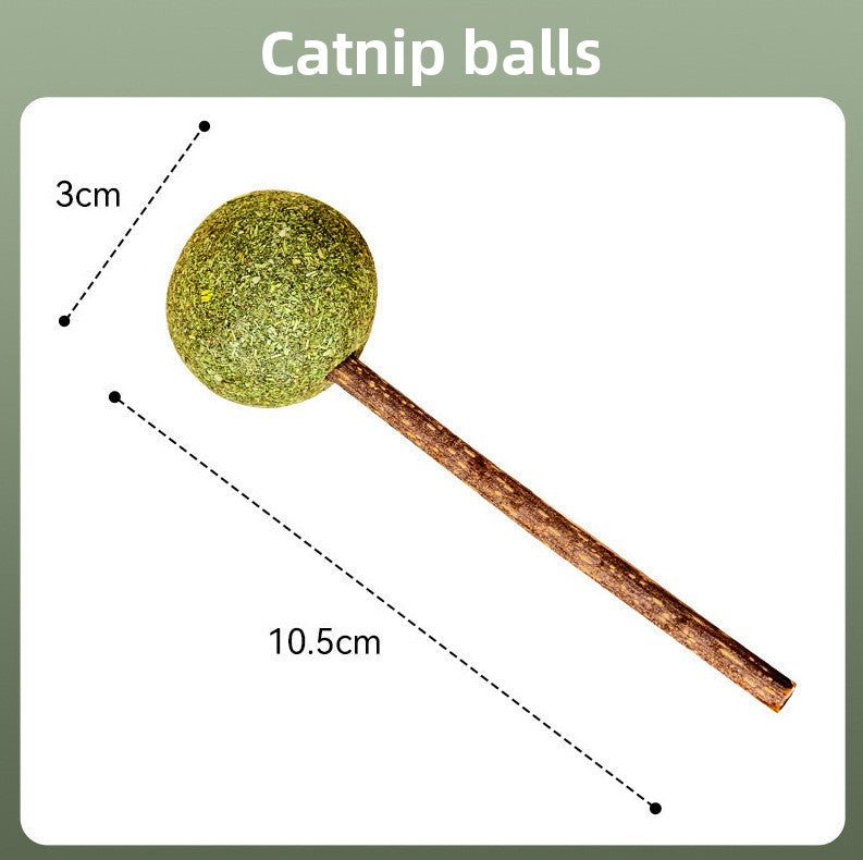 Catnip Wall Toy