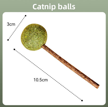 Catnip Wall Toy