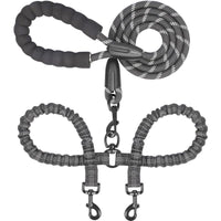Pet Double Leash