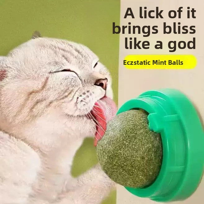 Catnip Toy
