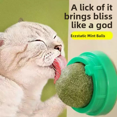 Catnip Toy