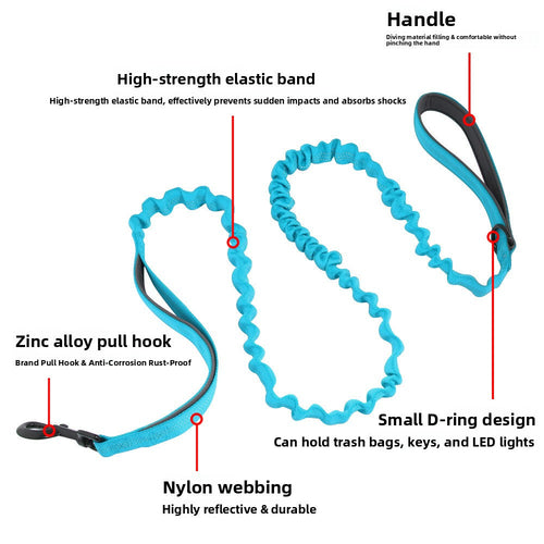 Adjustable Bungee Leash