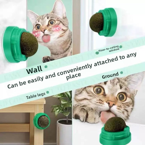 Catnip Toy