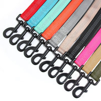 Adjustable Bungee Leash