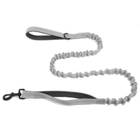 Adjustable Bungee Leash