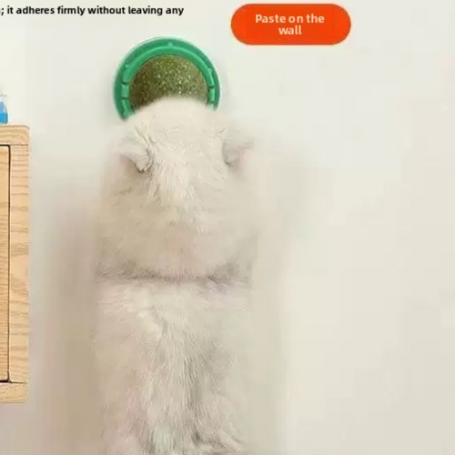 Catnip Toy