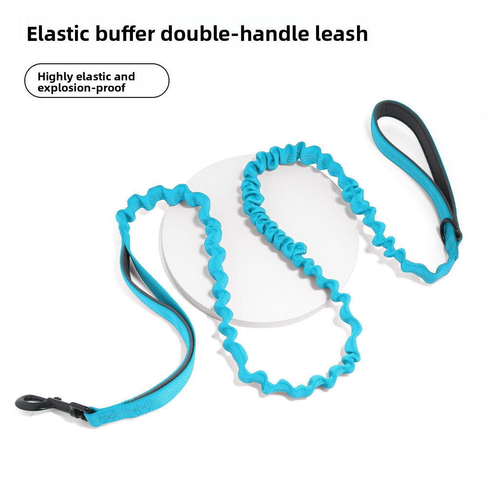 Happy Wag FlexWalk Bungee Leash