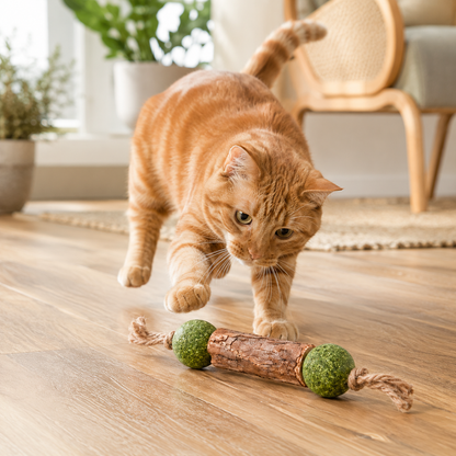 Cat Chew Toy Double-Knot Mint Ball
