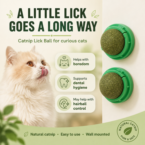 Catnip Wall Toy