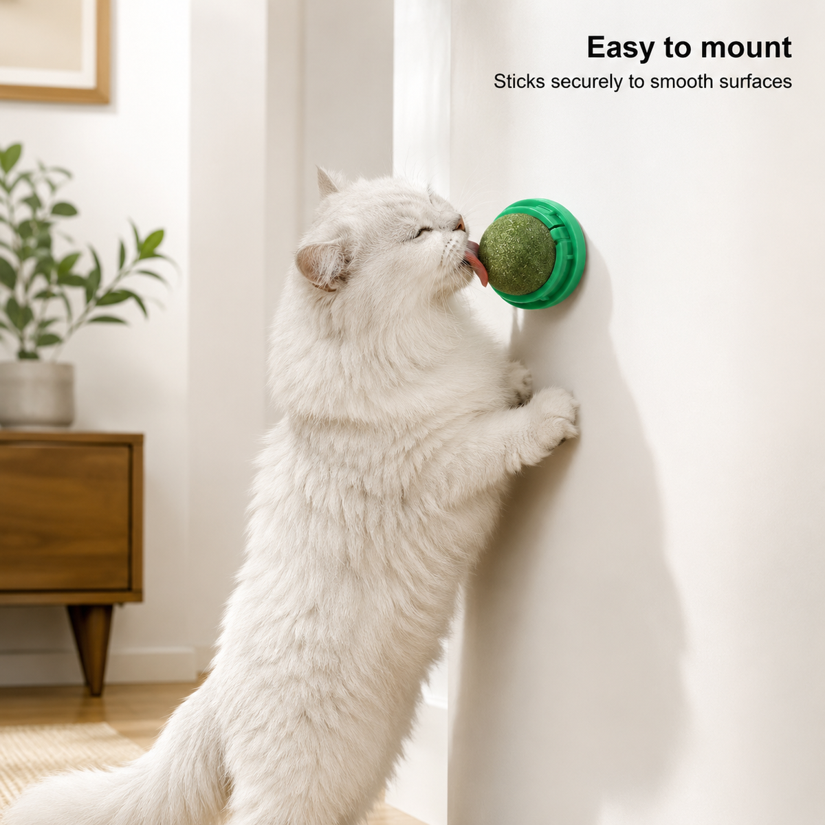 Catnip Wall Toy