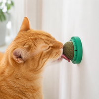 Catnip Wall Toy