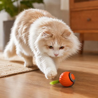 Happy Wag Pounce & Play Ball automatic cat toy, main product photo