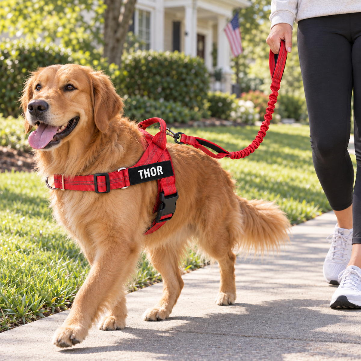 Happy Wag No-Pull Harness