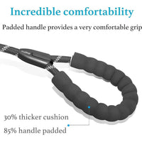 Pet Double Leash