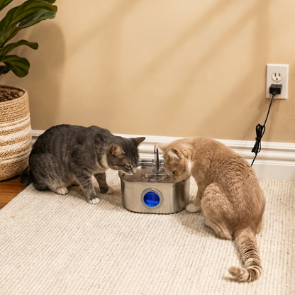 Happy Wag 3.2L Stainless-Steel Water Fountain, stainless-steel bowl detail