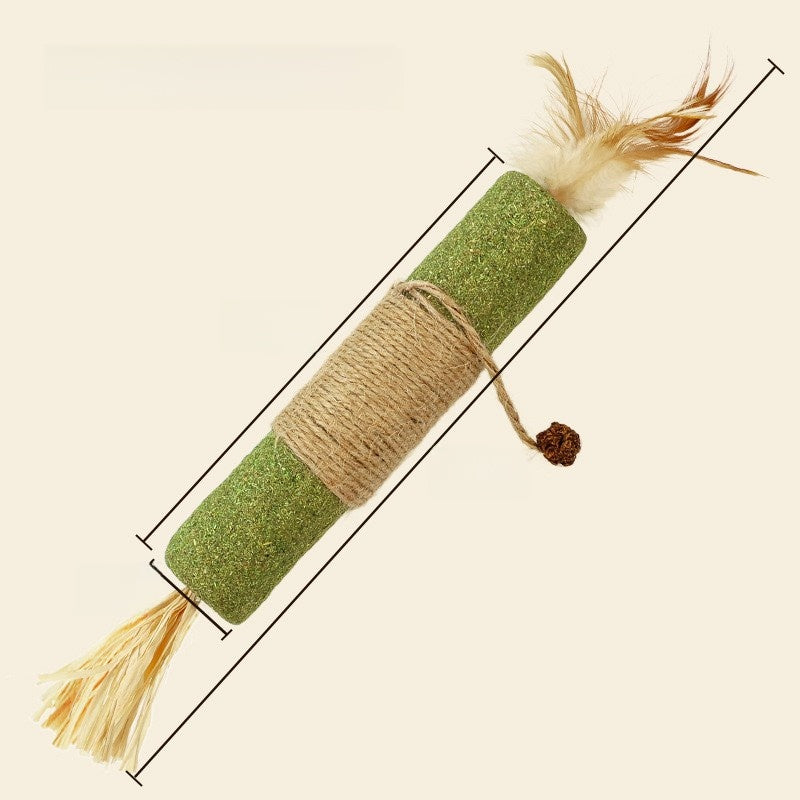 Catnip Wall Toy