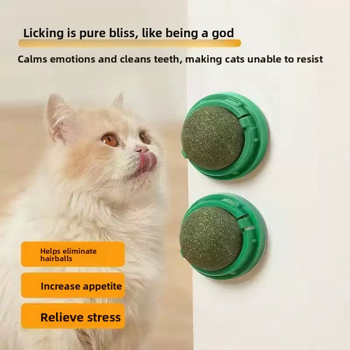 Catnip Toy
