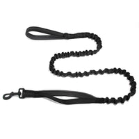 Adjustable Bungee Leash