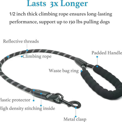 Pet Double Leash