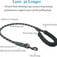 Pet Double Leash
