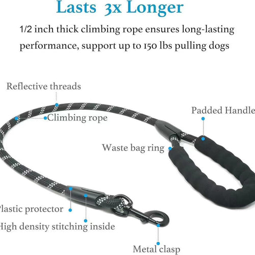 Pet Double Leash