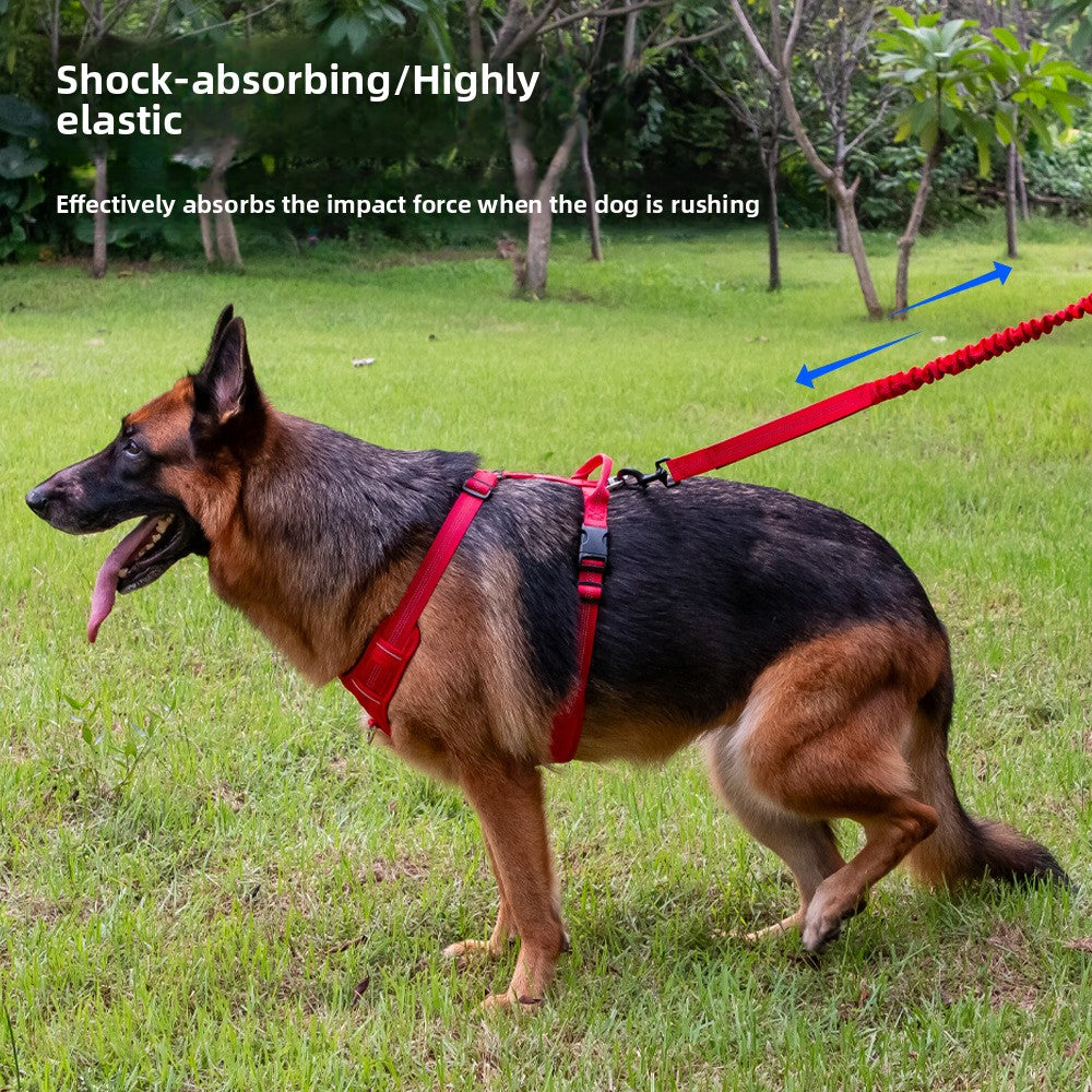 Happy Wag FlexWalk Bungee Leash