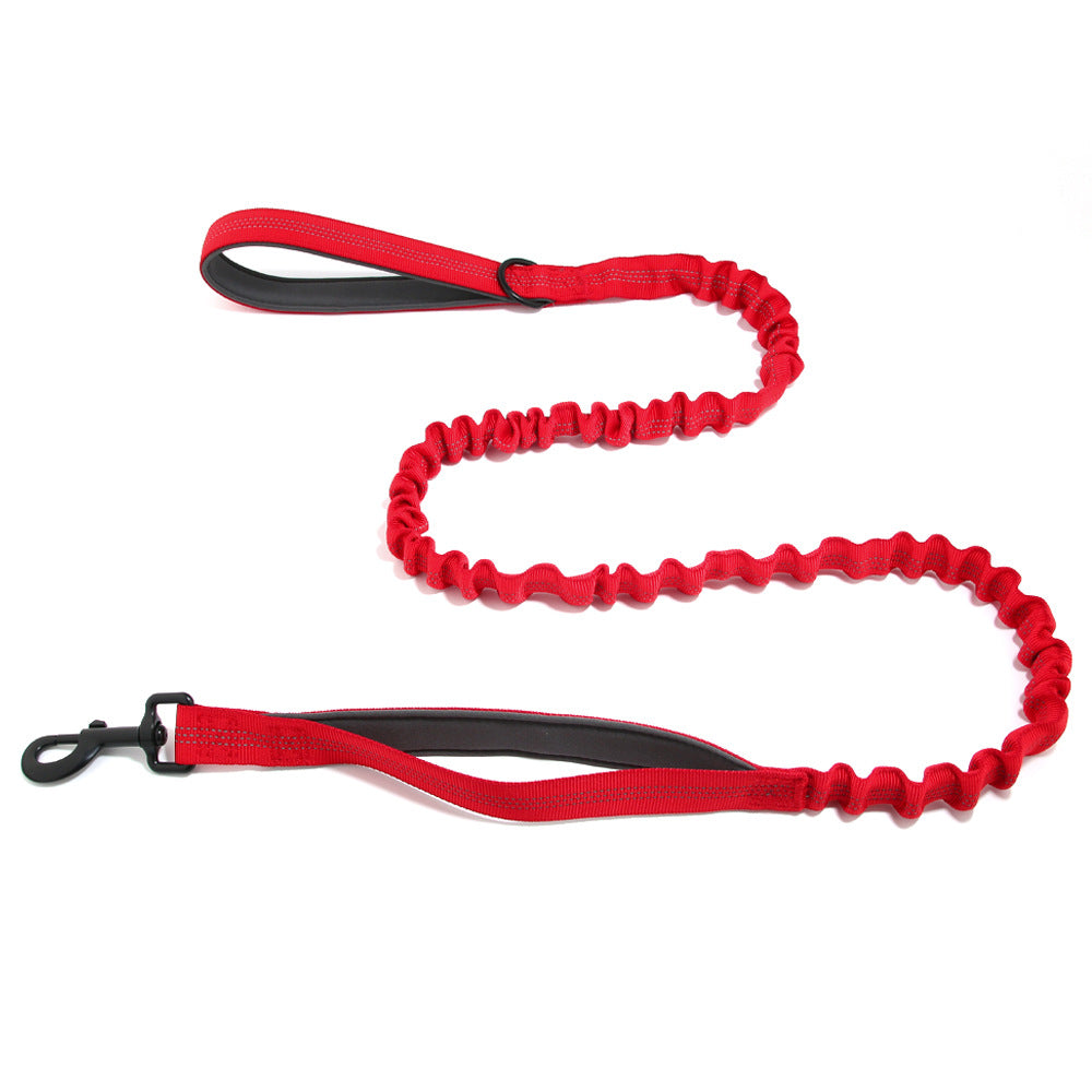 Adjustable Bungee Leash